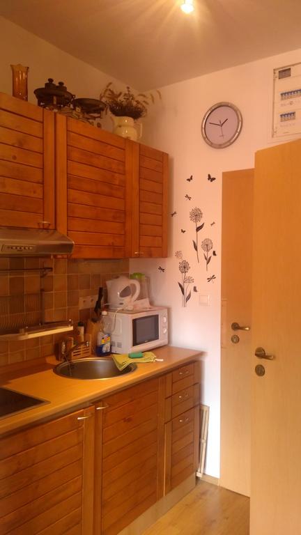 Fatrapark 1 U Sovicky Studio, Kuchynka, Kupelna,S Balkonom Gratis Parkovanie V Podzemnej Garazi Ruzomberok Bagian luar foto