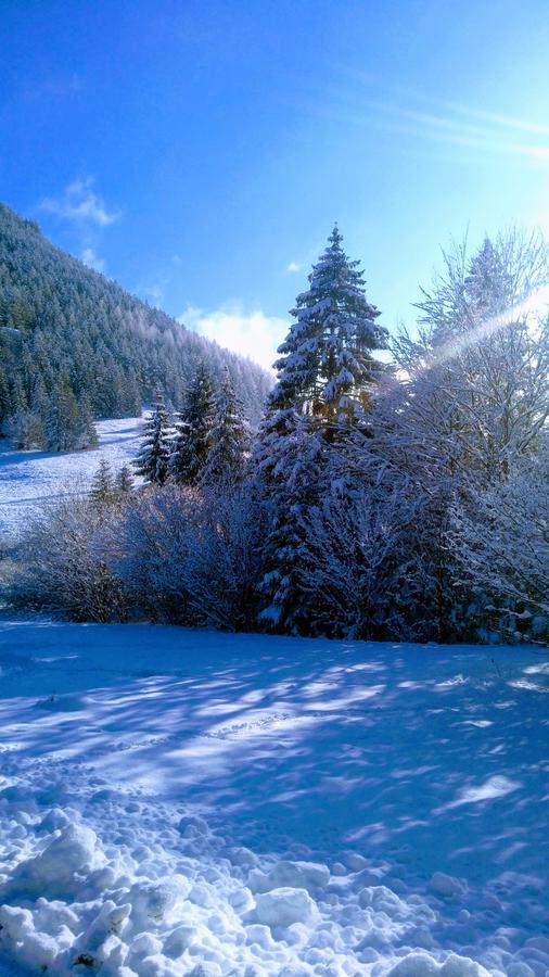 Fatrapark 1 U Sovicky Studio, Kuchynka, Kupelna,S Balkonom Gratis Parkovanie V Podzemnej Garazi Ruzomberok Bagian luar foto